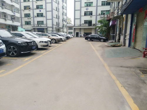 深圳坂田汽車(chē)站旁?xún)?yōu)質(zhì)標(biāo)準(zhǔn)廠房出租，550平高標(biāo)空間，滿(mǎn)足多樣化需求