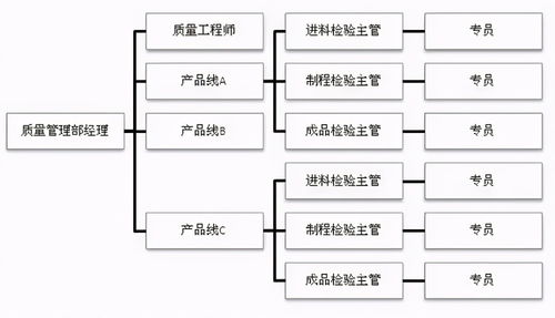 超棒企業質量組織架構圖，員工如何定位自己的位置